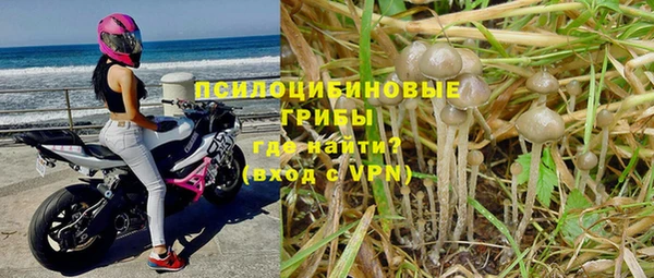 стафф Лихославль