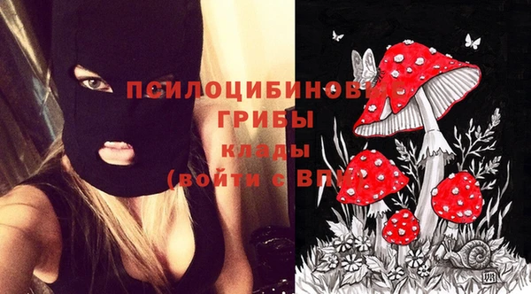 мдпв Липки