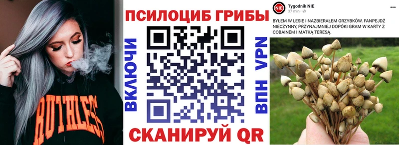 Купить где  Ульяновск  Галлюциногенные грибы Magic Shrooms 