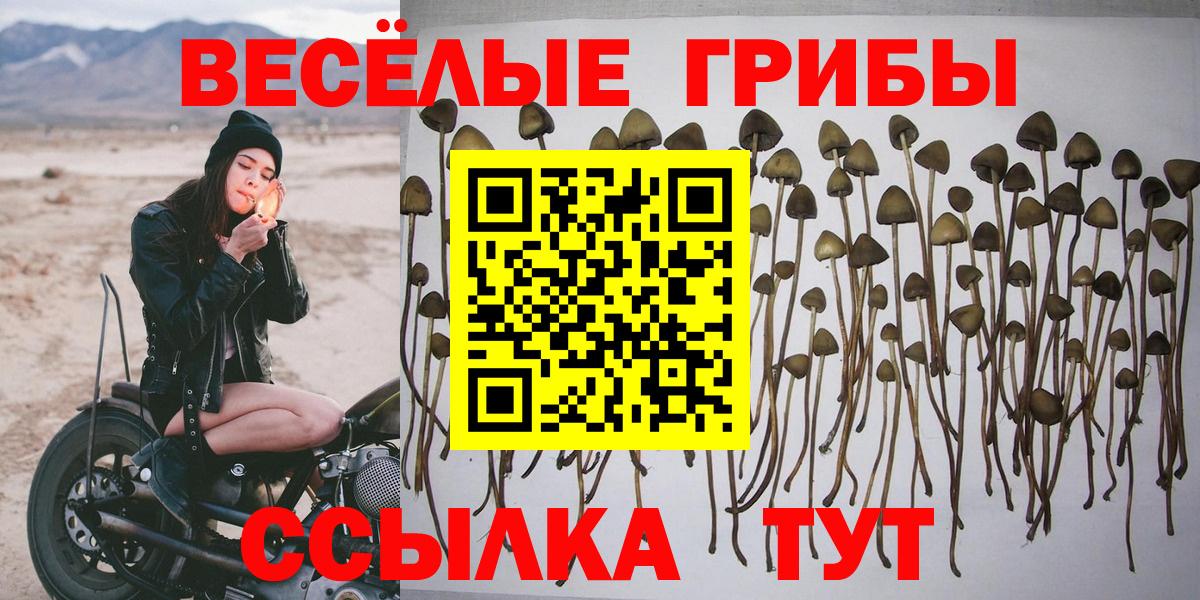 Галлюциногенные грибы прущие грибы Ульяновск