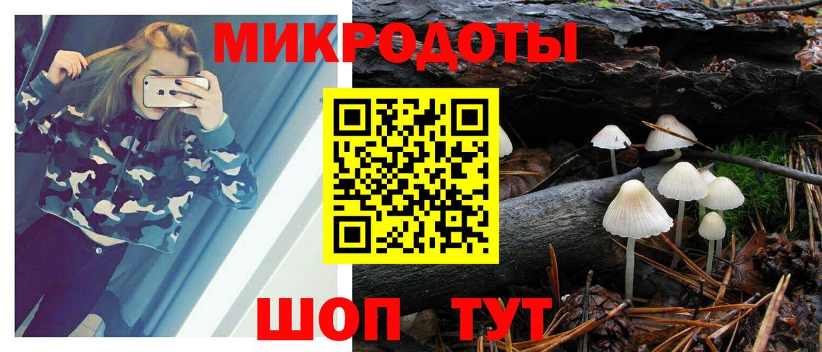 Псилоцибиновые грибы Cubensis  Ульяновск  закладки  Галлюциногенные грибы MAGIC MUSHROOMS 