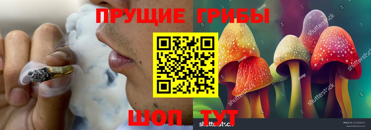 Ульяновск  Галлюциногенные грибы прущие грибы  Вход с VPN  Галлюциногенные грибы ЛСД 